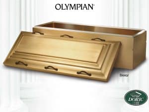 Vaults-olym-bronze-noemb